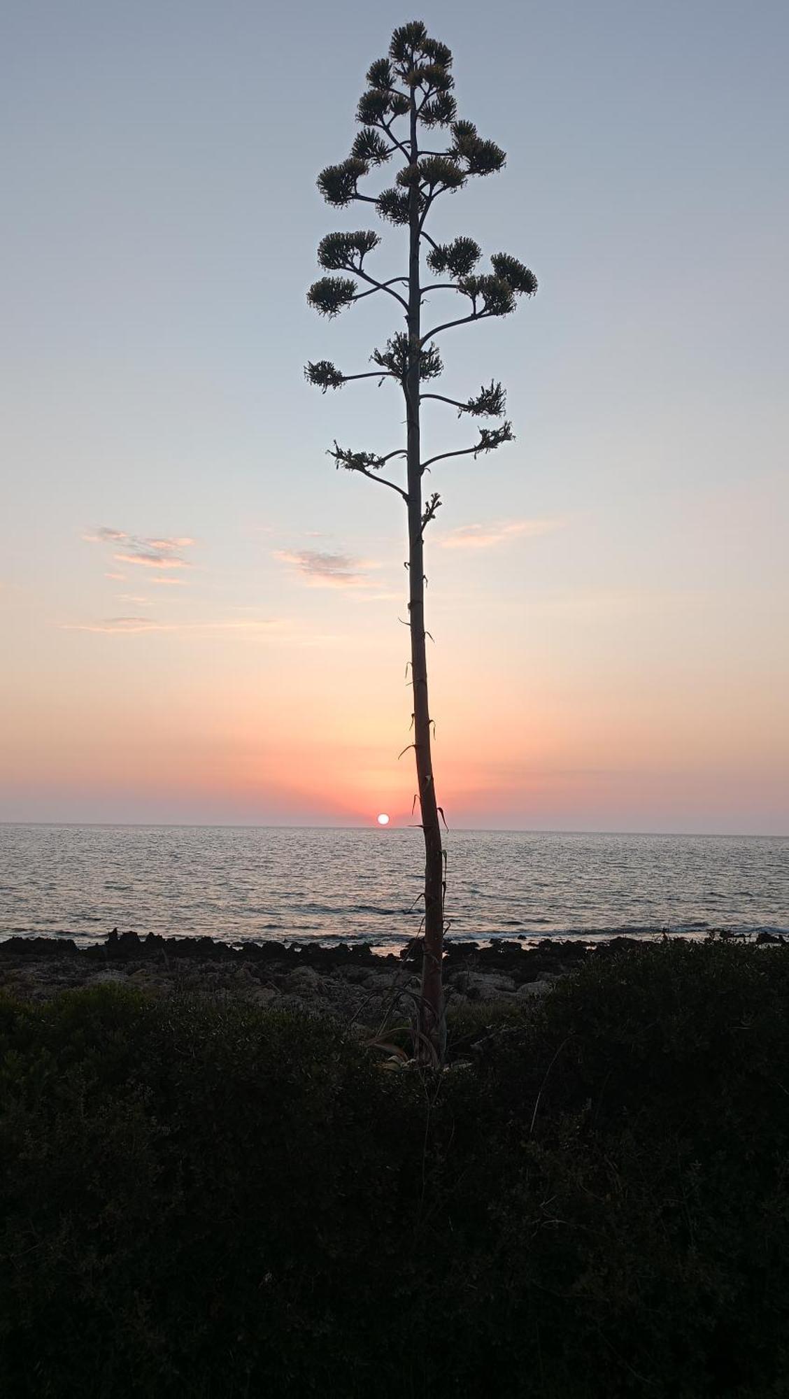 Tzanetos Seaside Villa Kyparissia Luaran gambar